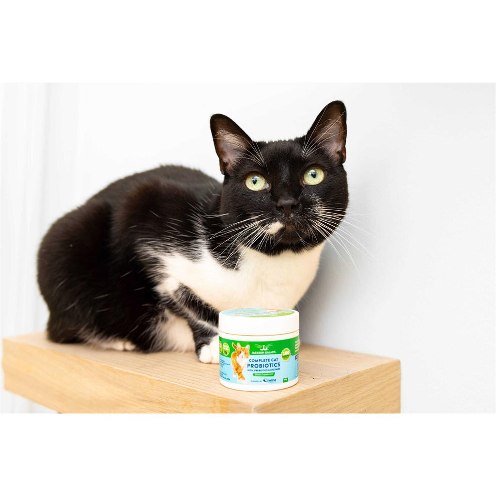 Cat Probiotics with Prebiotics & Enzymes N6312