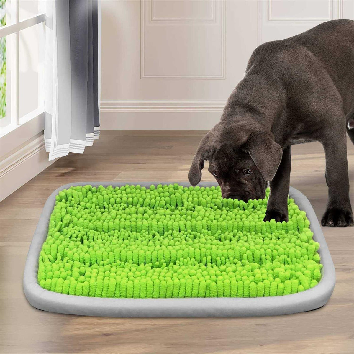21x16 Inch Snuffle Mat for Dogs S1870
