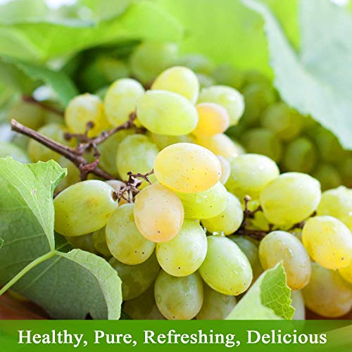 100% Organic Red Grape Juice, 25.4 Oz Glass Bottle (Pack of 2) T23081