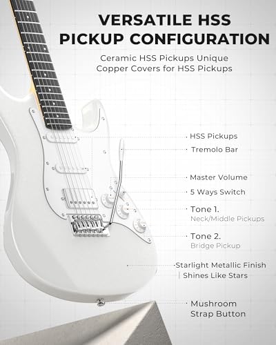 39 Inch HSS Pickup Full Size Solid Body Electric Guitar Kit with Amplifier W852143