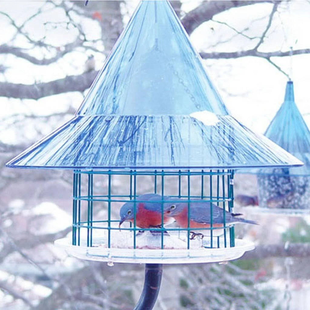 Bluebird Feeder N197