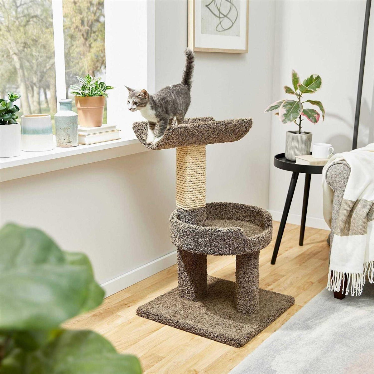 32-in Real Carpet Wooden Cat Tree Y369