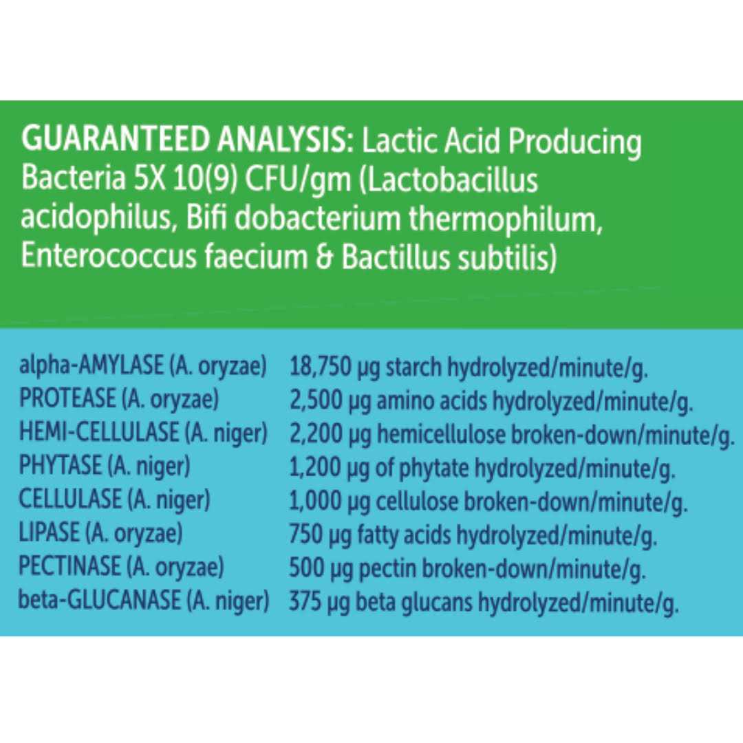 Cat Probiotics with Prebiotics & Enzymes N6312