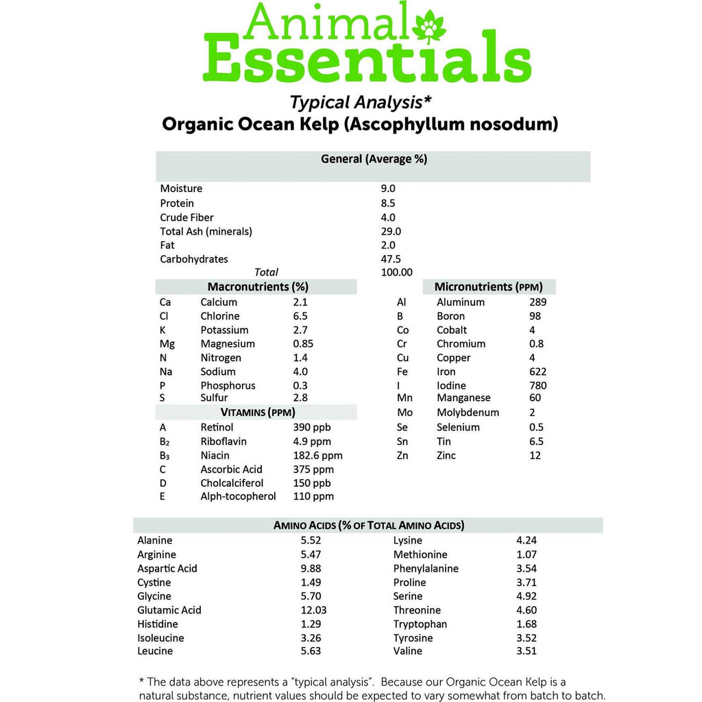 Organic Kelp X24359