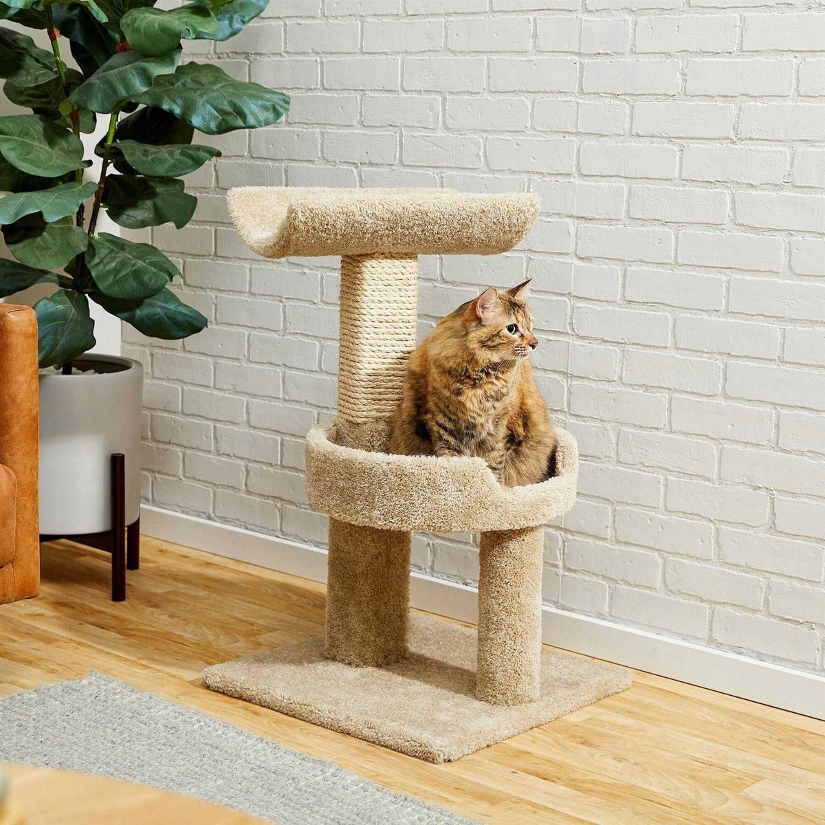 32-in Real Carpet Wooden Cat Tree Y369