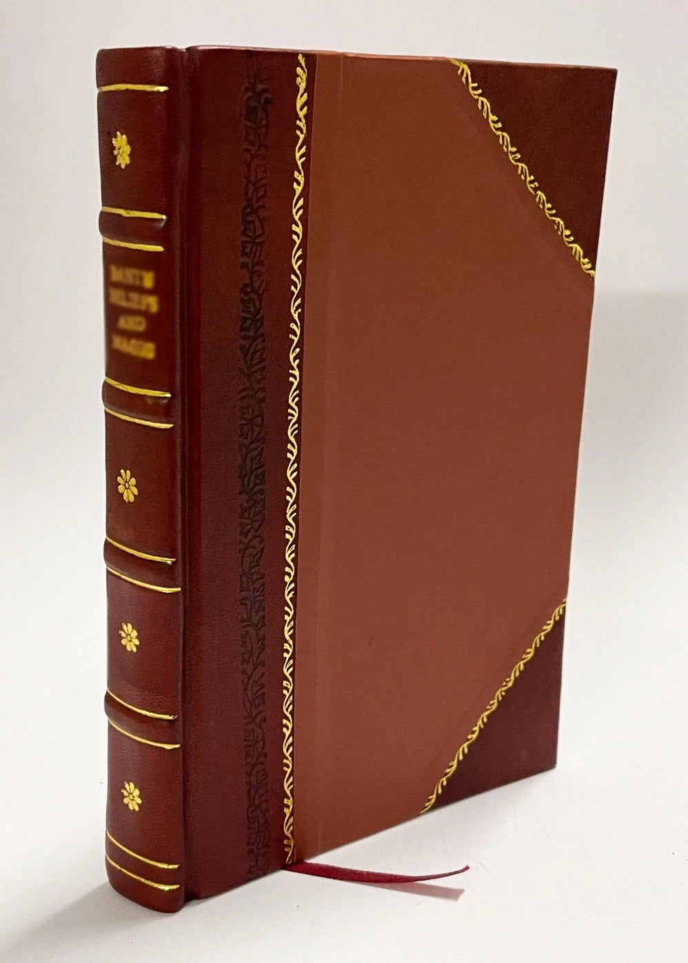 Leather Bound Book X347415