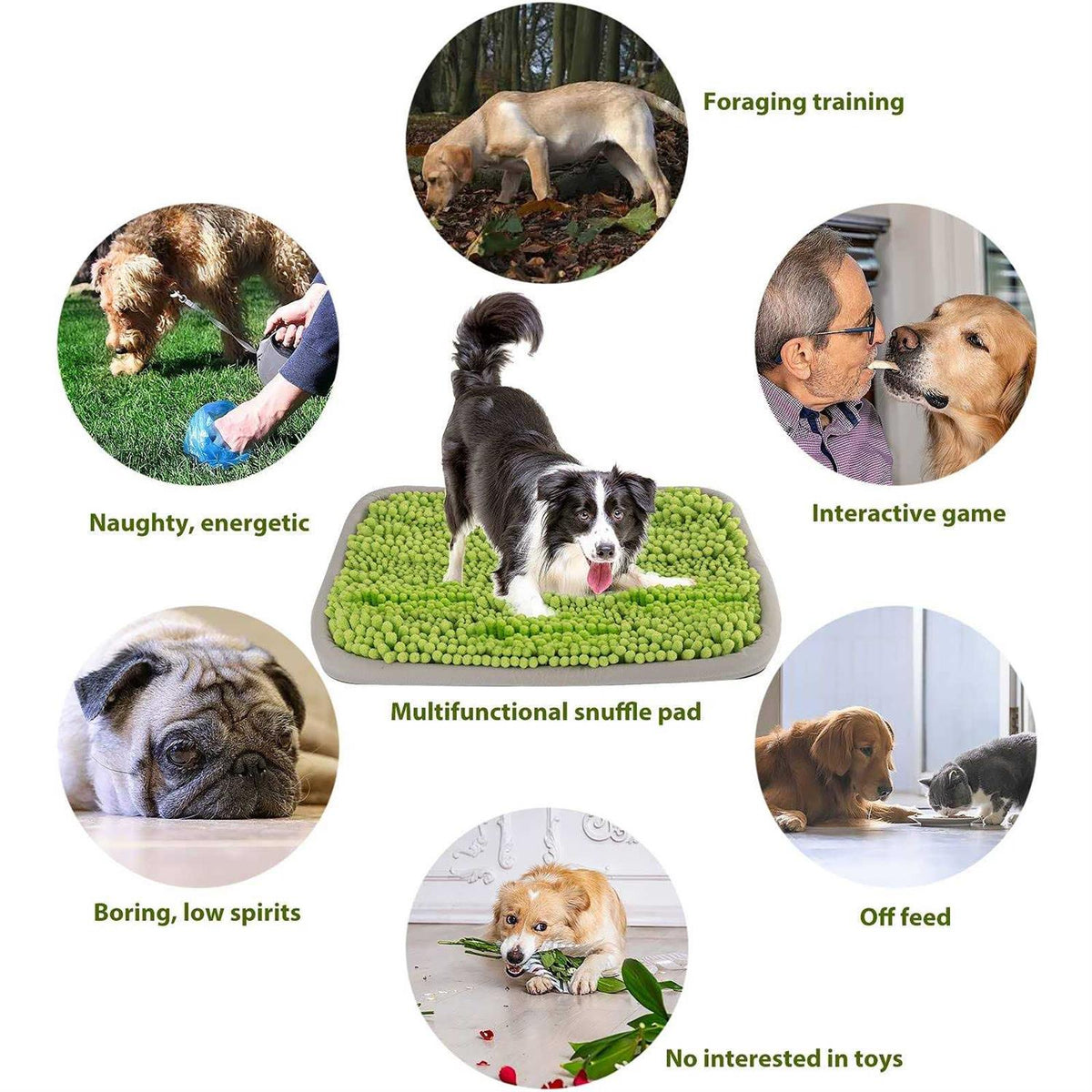 21x16 Inch Snuffle Mat for Dogs S1870